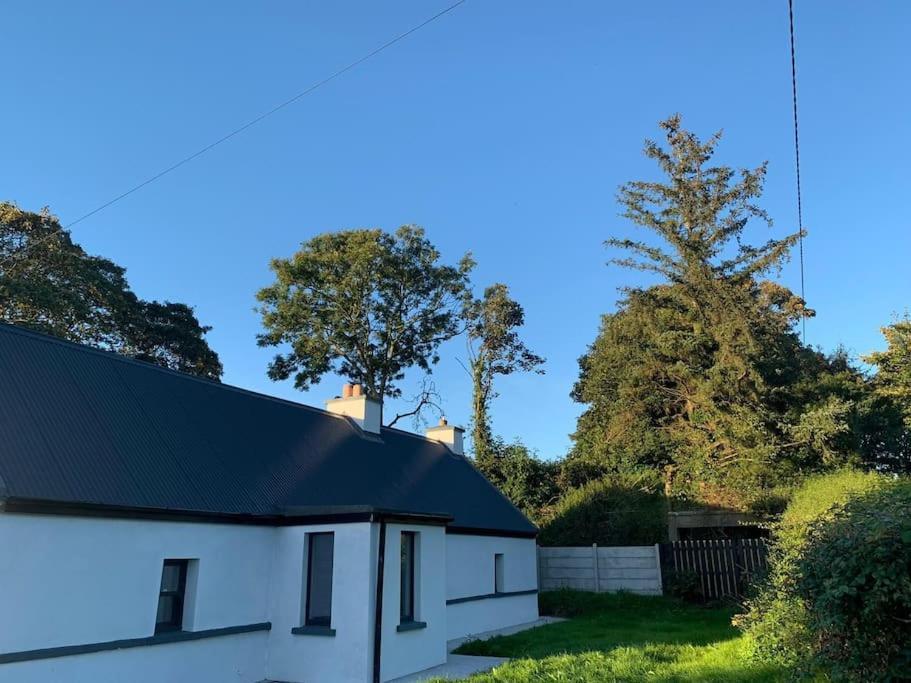Rose Cottage Killarney Zewnętrze zdjęcie