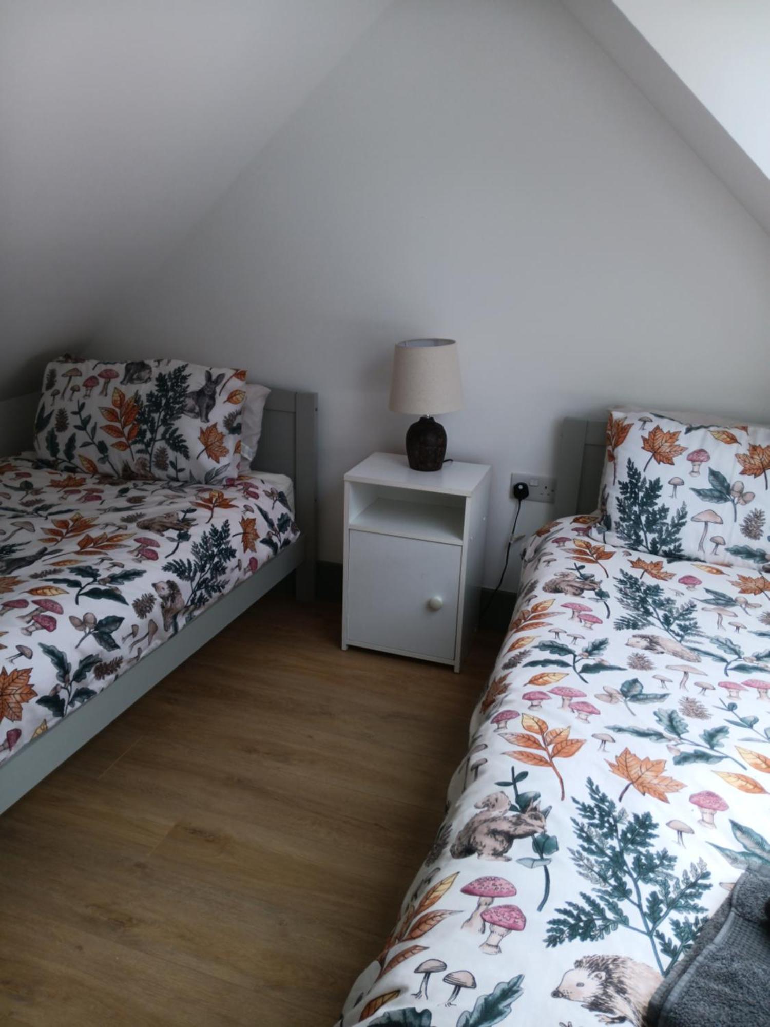 Rose Cottage Killarney Zewnętrze zdjęcie